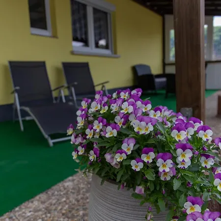 Apartamento Schorn Burg (Bernkastel-Wittlich)