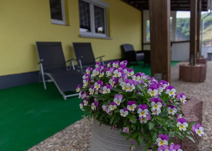 Apartman Schorn Burg (Bernkastel-Wittlich)